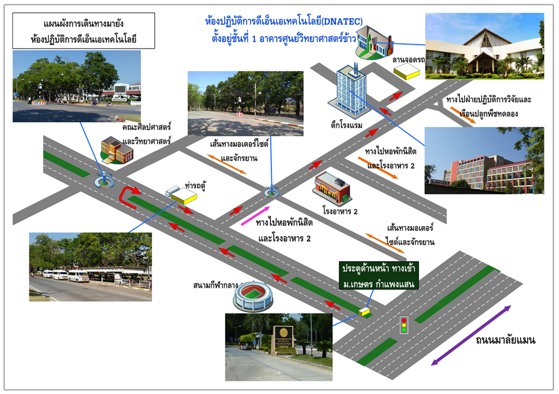 แผนที่ภายในห้องปฏิบัติการดีเอ็นเอเทคโนโลยี